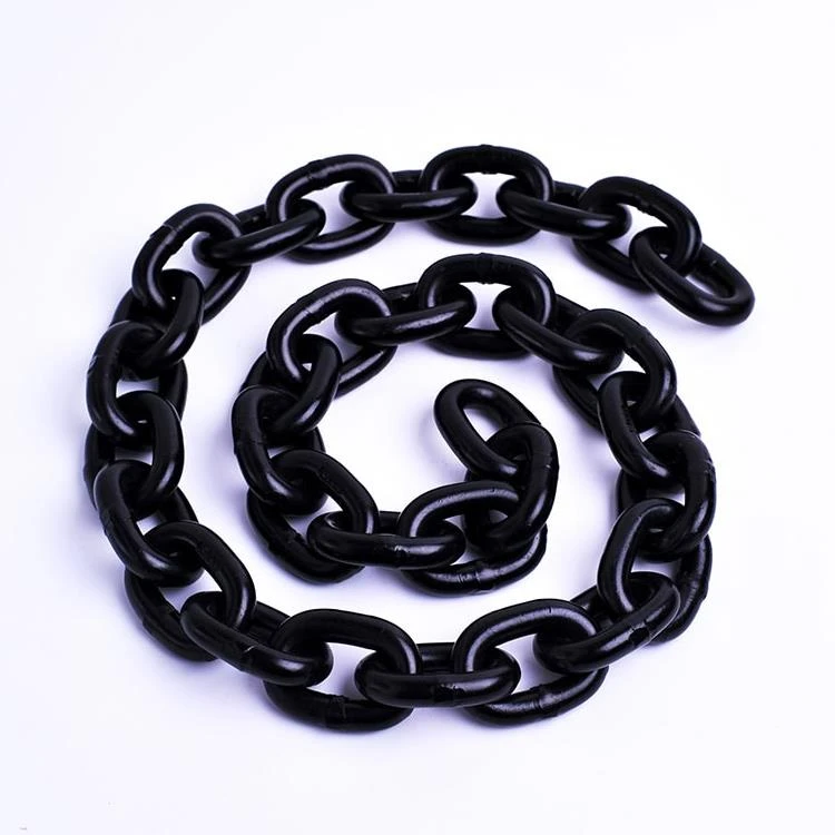 En818-2 lifting Chain